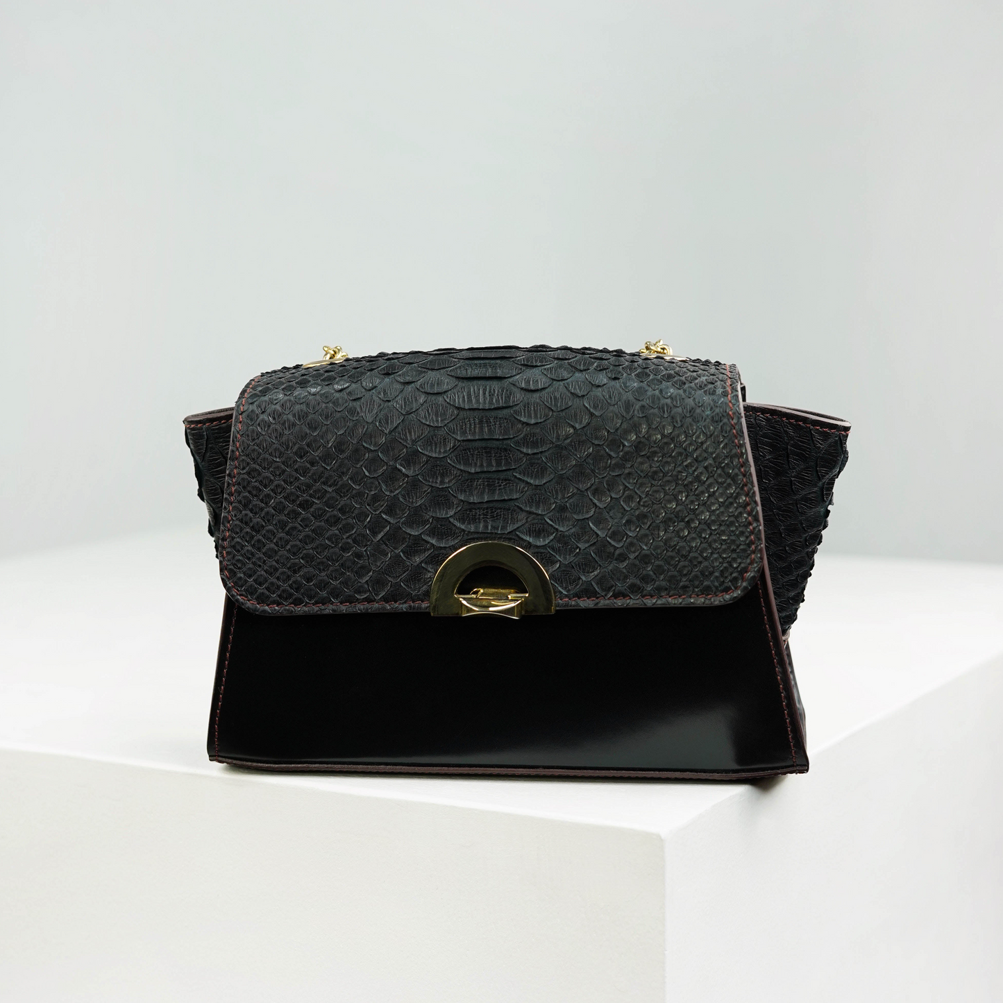 Lily Black Python