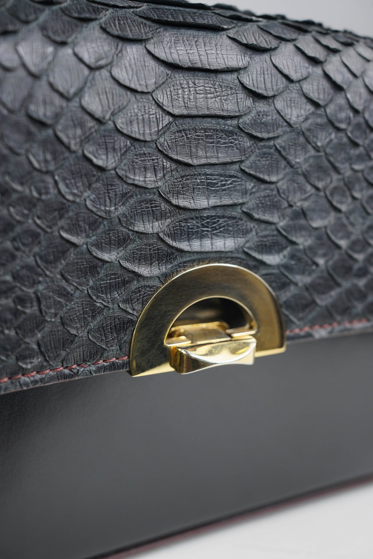 Lily Black Python