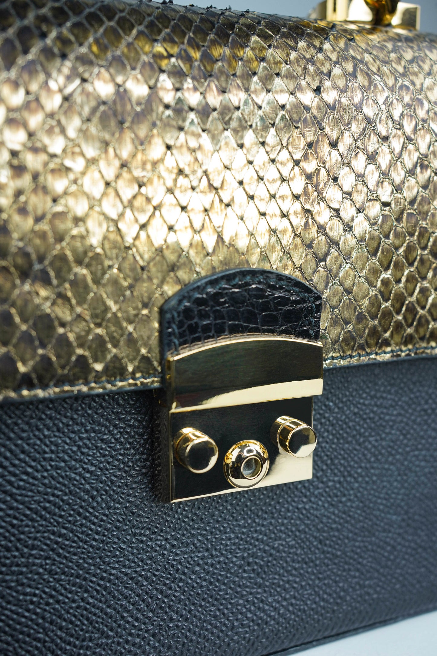 Florence Gold Python