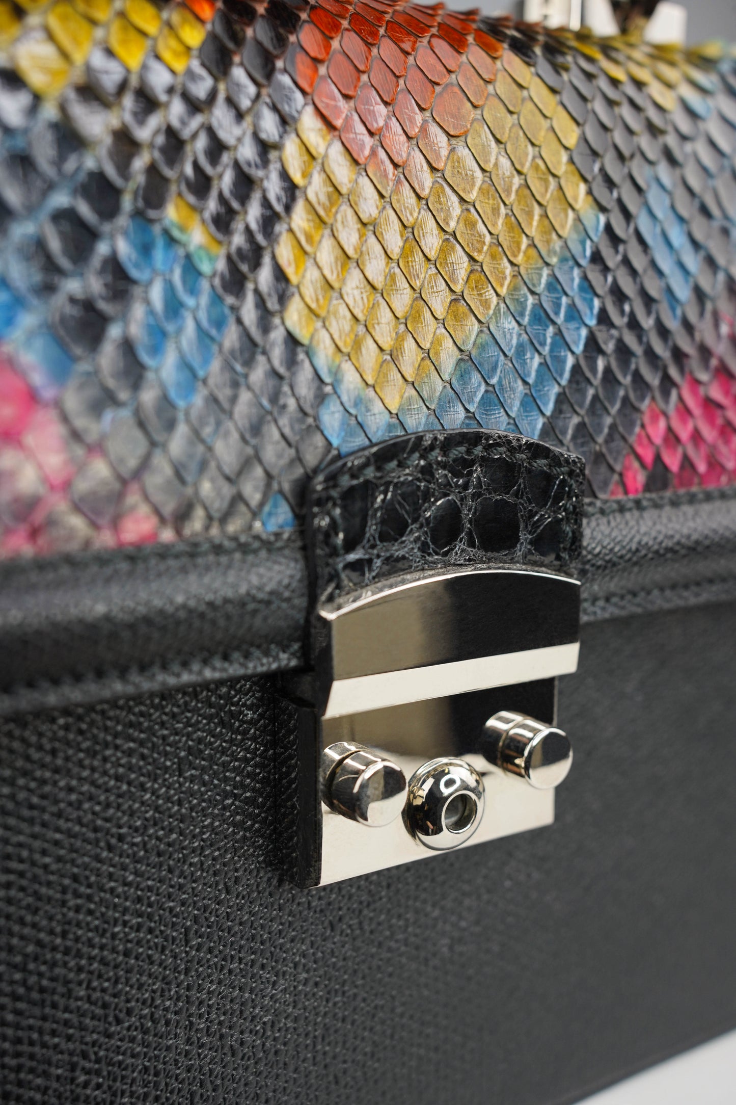 Florence Rainbow Python