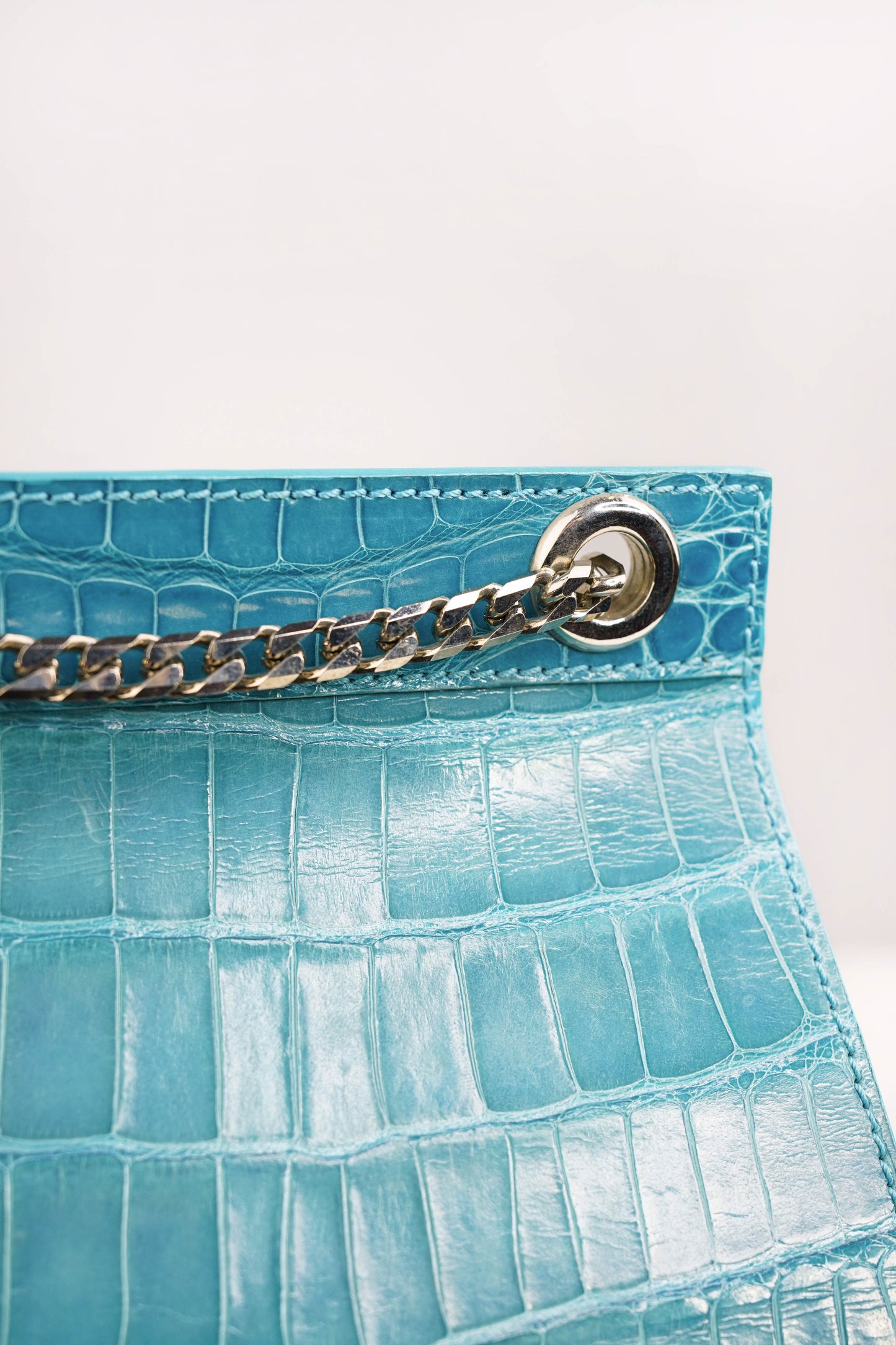 Isabella Aqua Croco