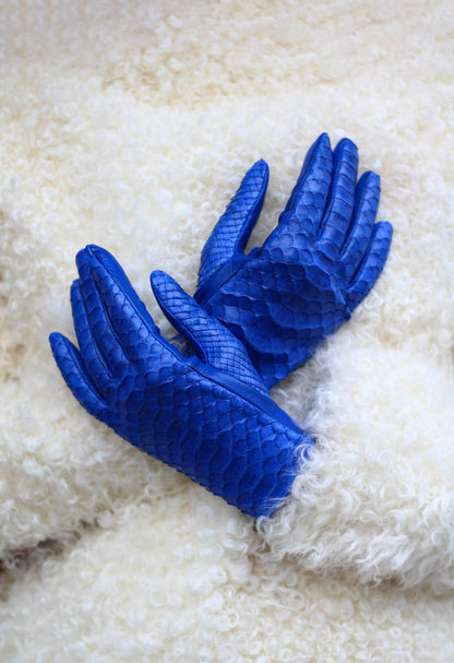 Electric blue python gloves